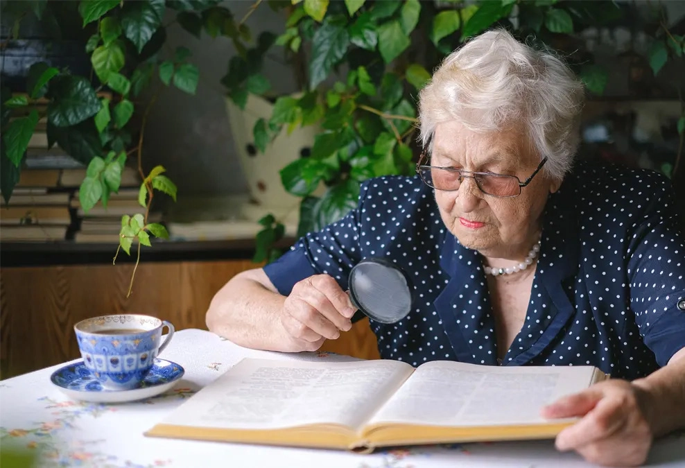 Njegovateljica Njemačka